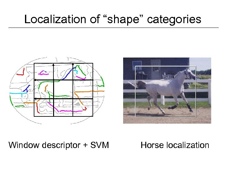 Localization of “shape” categories Window descriptor + SVM Horse localization 