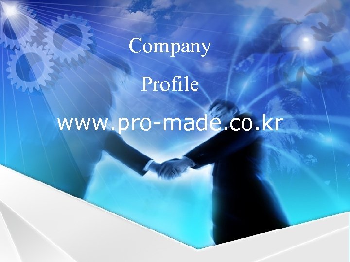 Company Profile www. pro-made. co. kr 