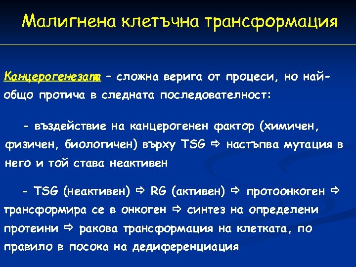 Малигнена клетъчна трансформация Канцерогенезата – сложна верига от процеси, но найобщо протича в следната