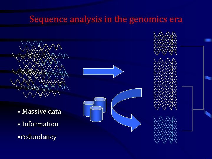 Sequence analysis in the genomics era • Massive data • Information • redundancy 