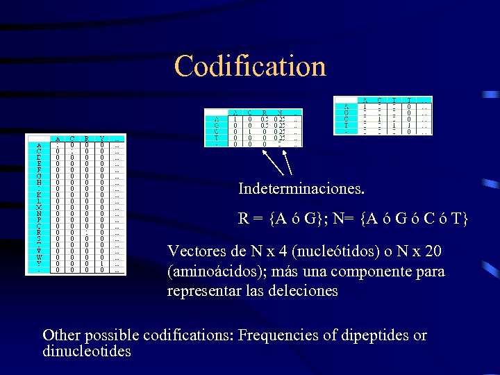 Codification Indeterminaciones. R = {A ó G}; N= {A ó G ó C ó