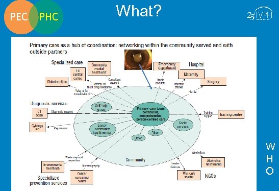 PEC PHC What? W H O 