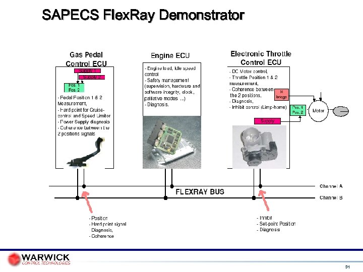 SAPECS Flex. Ray Demonstrator 31 