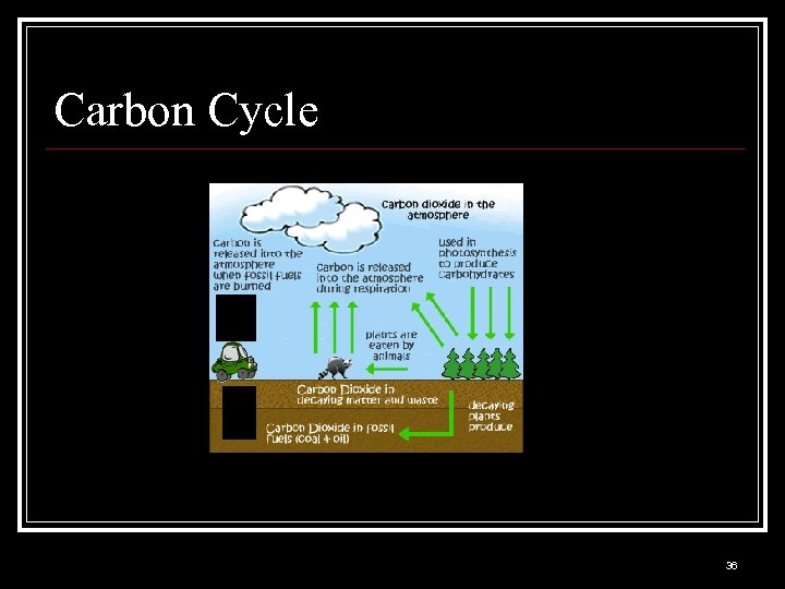 Carbon Cycle 36 