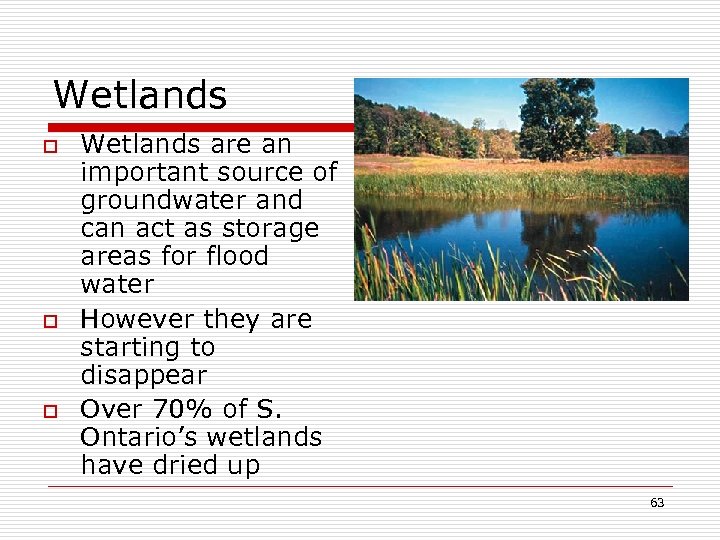 Wetlands o o o Wetlands are an important source of groundwater and can act