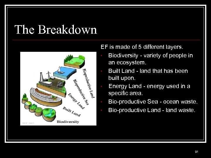 The Breakdown EF is made of 5 different layers. • Biodiversity - variety of