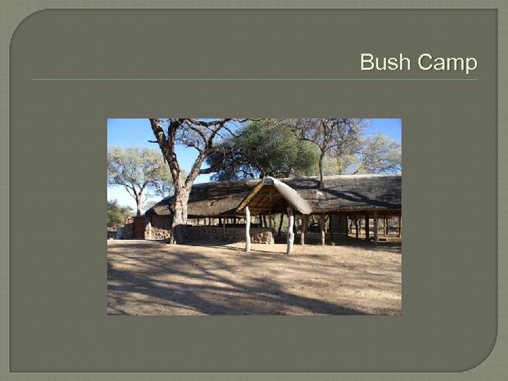Bush Camp 