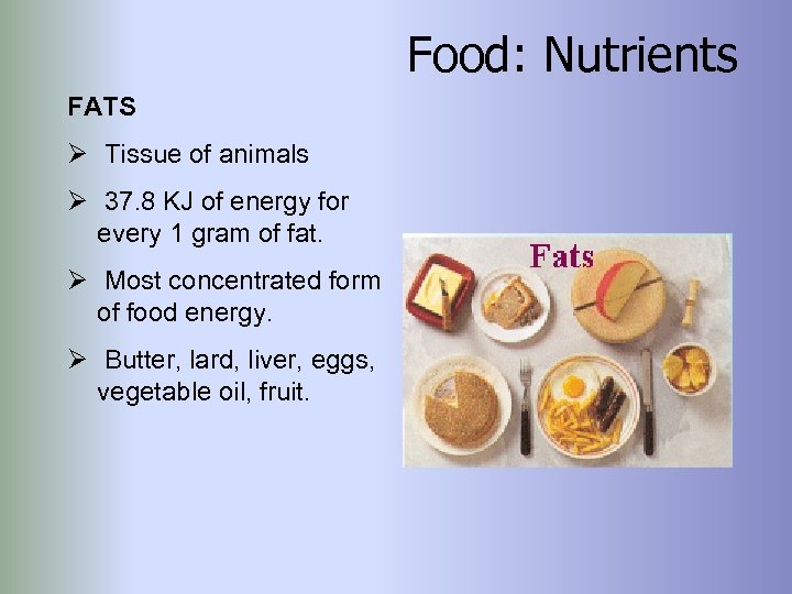 Food: Nutrients FATS Ø Tissue of animals Ø 37. 8 KJ of energy for