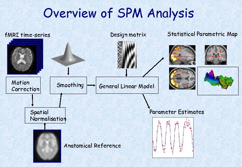 Overview of SPM Analysis Motion Correction Statistical Parametric Map Design matrix f. MRI time-series
