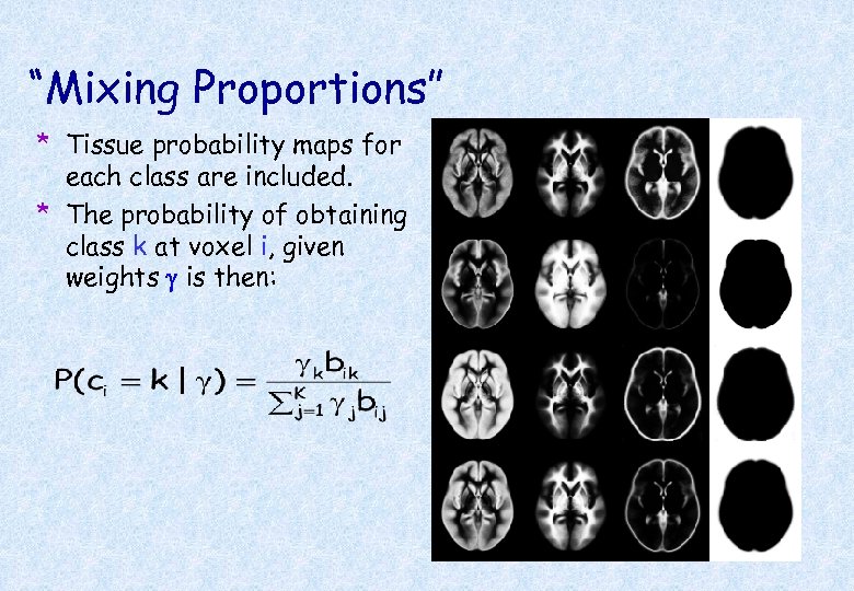 “Mixing Proportions” * Tissue probability maps for each class are included. * The probability