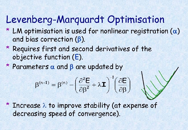 Levenberg-Marquardt Optimisation * LM optimisation is used for nonlinear registration (a) and bias correction