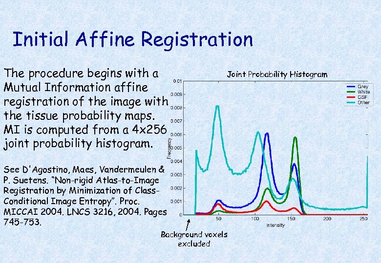 Initial Affine Registration The procedure begins with a Mutual Information affine registration of the