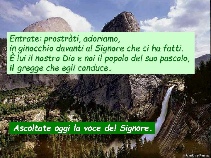 Entrate: prostràti, adoriamo, in ginocchio davanti al Signore che ci ha fatti. È lui