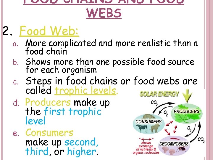 FOOD CHAINS AND FOOD WEBS 2. Food Web: More complicated and more realistic than