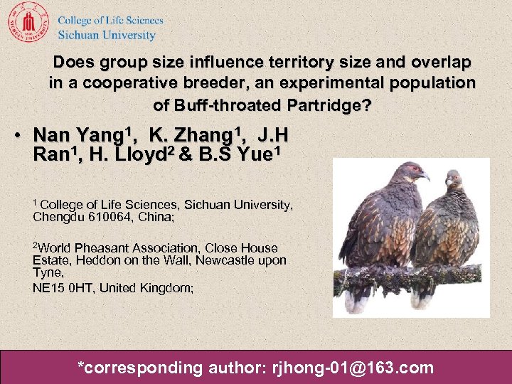 Does group size influence territory size and overlap in a cooperative breeder, an experimental