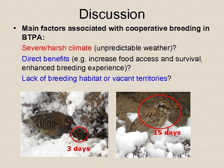 Discussion • Main factors associated with cooperative breeding in BTPA: Severe/harsh climate (unpredictable weather)?