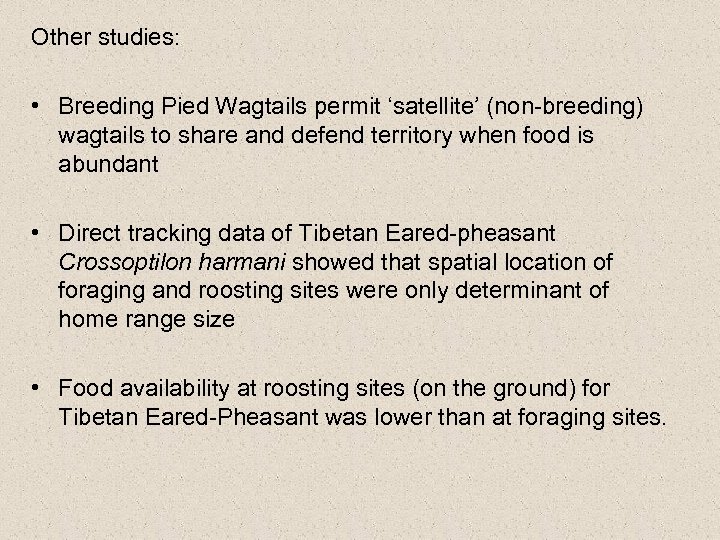 Other studies: • Breeding Pied Wagtails permit ‘satellite’ (non-breeding) wagtails to share and defend