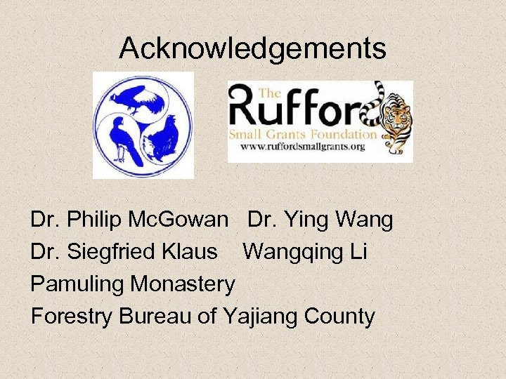 Acknowledgements Dr. Philip Mc. Gowan Dr. Ying Wang Dr. Siegfried Klaus Wangqing Li Pamuling