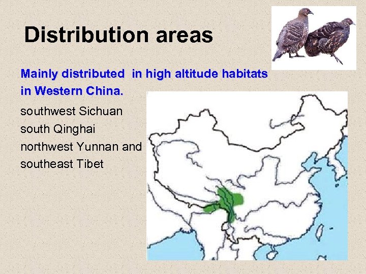 Distribution areas Mainly distributed in high altitude habitats in Western China. southwest Sichuan south