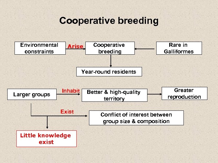 Cooperative breeding Environmental constraints Arise Cooperative breeding Rare in Galliformes Year-round residents Larger groups