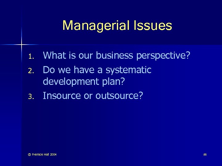 Managerial Issues 1. 2. 3. What is our business perspective? Do we have a