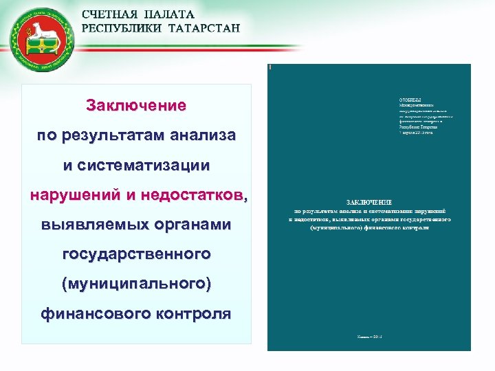 Заключение по результатам анализа и систематизации нарушений и недостатков, выявляемых органами государственного (муниципального) финансового