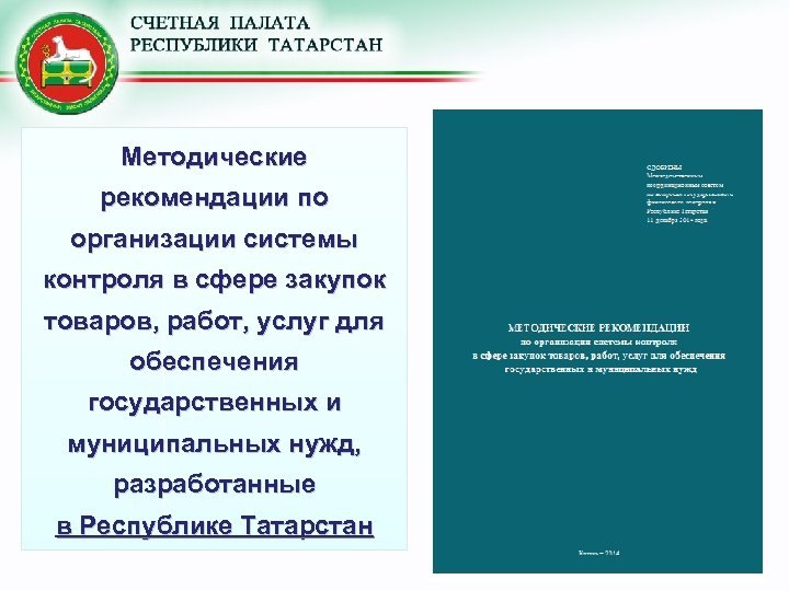 Методические рекомендации по организации системы контроля в сфере закупок товаров, работ, услуг для обеспечения
