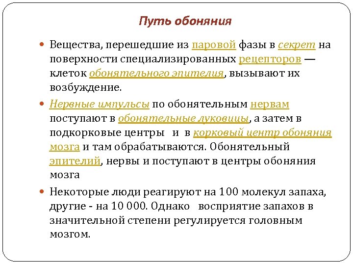 Путь обоняния Вещества, перешедшие из паровой фазы в секрет на поверхности специализированных рецепторов —