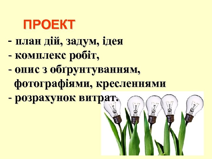 ПРОЕКТ - план дій, задум, ідея - комплекс робіт, - опис з обґрунтуванням, фотографіями,