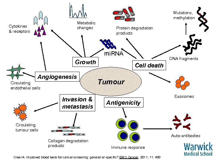 Mutations, methylation Metabolic changes Cytokines & receptors Protein degradation products mi. RNA Growth Angiogenesis
