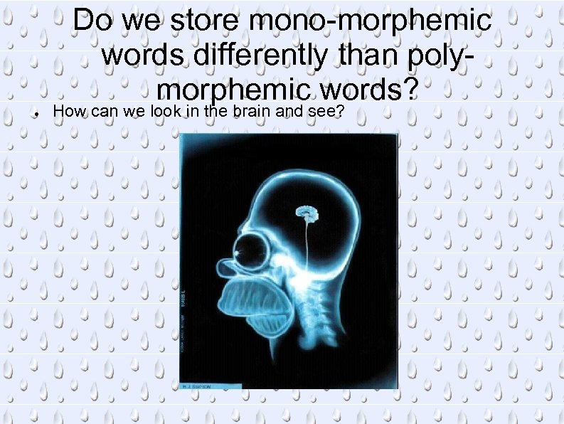Do we store mono-morphemic words differently than polymorphemic words? ● How can we look