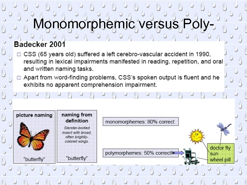 Monomorphemic versus Poly- 