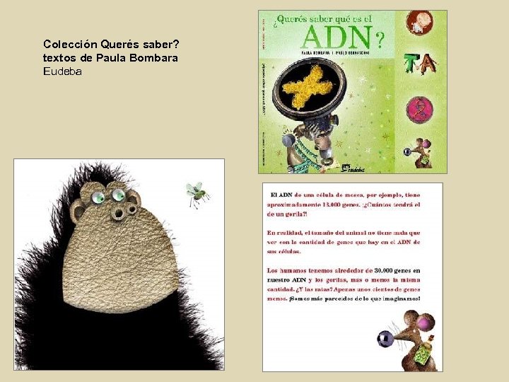 Colección Querés saber? textos de Paula Bombara Eudeba 