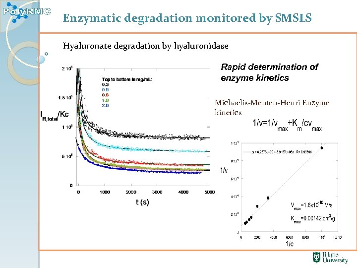 Enzymatic degradation monitored by SMSLS Hyaluronate degradation by hyaluronidase Rapid determination of enzyme kinetics