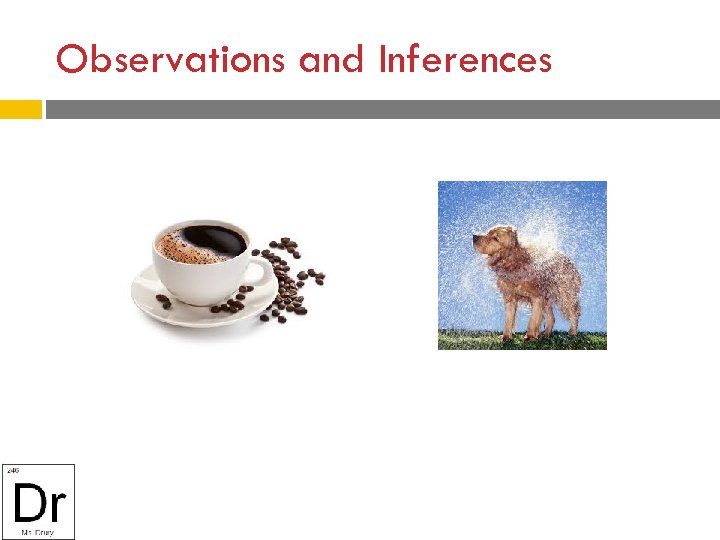 Observations and Inferences 