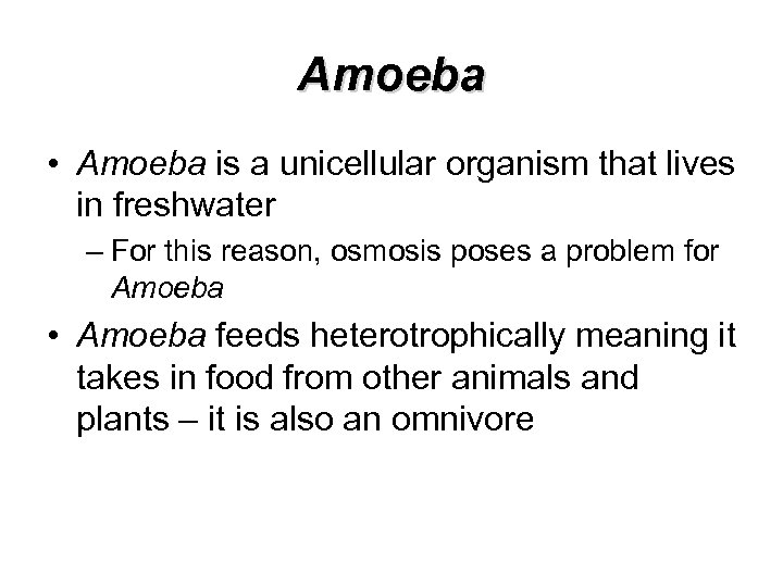 Amoeba • Amoeba is a unicellular organism that lives in freshwater – For this