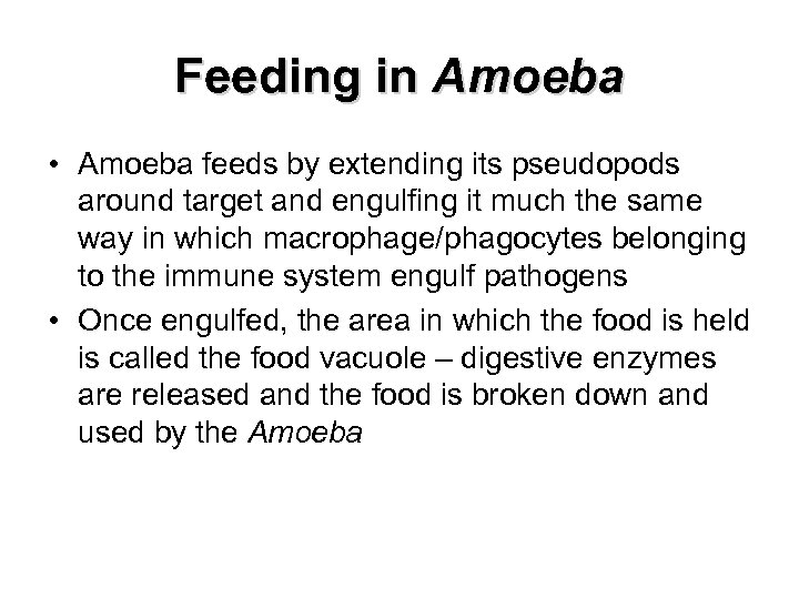 Feeding in Amoeba • Amoeba feeds by extending its pseudopods around target and engulfing