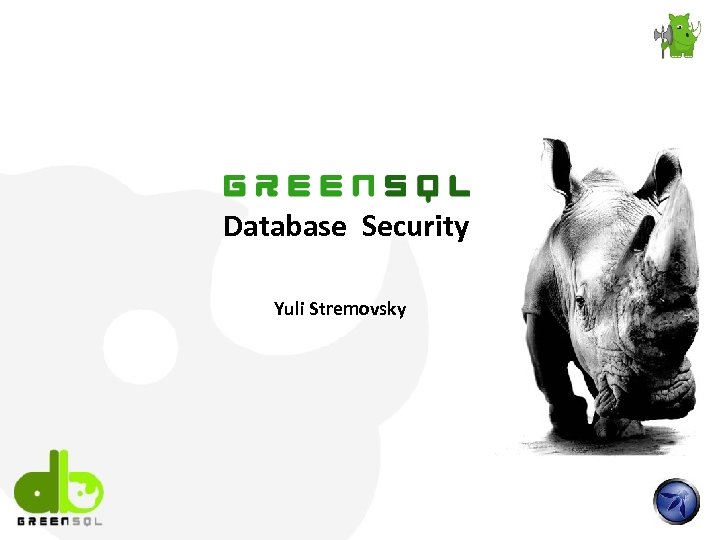 Database Security Yuli Stremovsky 