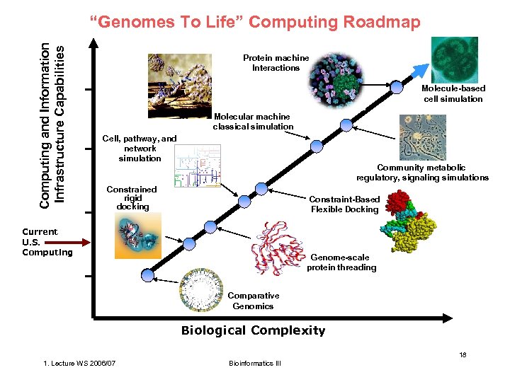 Computing and Information Infrastructure Capabilities “Genomes To Life” Computing Roadmap Protein machine Interactions Molecule-based