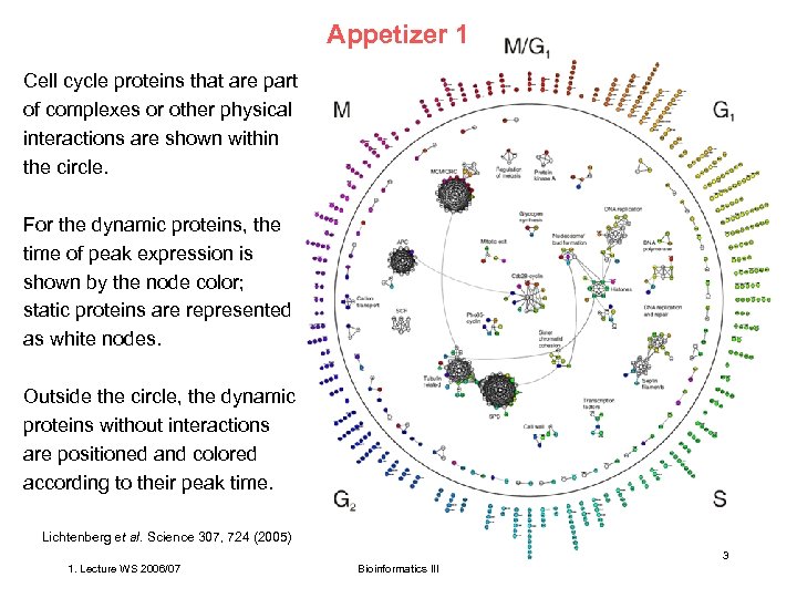 Appetizer 1 Cell cycle proteins that are part of complexes or other physical interactions