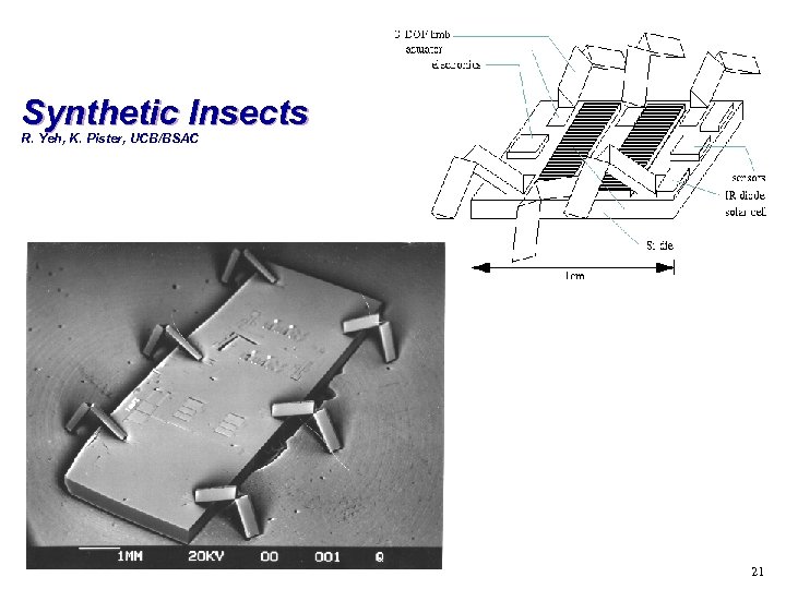 Synthetic Insects R. Yeh, K. Pister, UCB/BSAC 21 