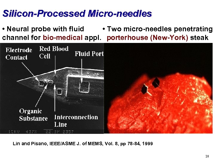 Silicon-Processed Micro-needles • Neural probe with fluid • Two micro-needles penetrating channel for bio-medical