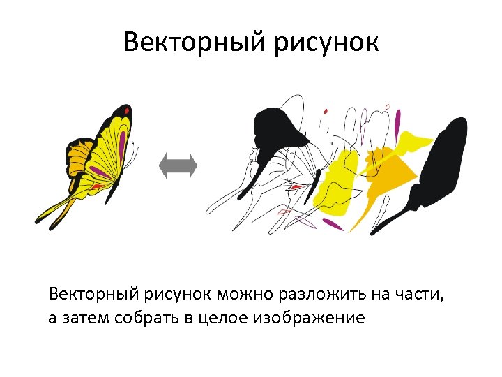 Векторный рисунок можно разложить на части, а затем собрать в целое изображение 