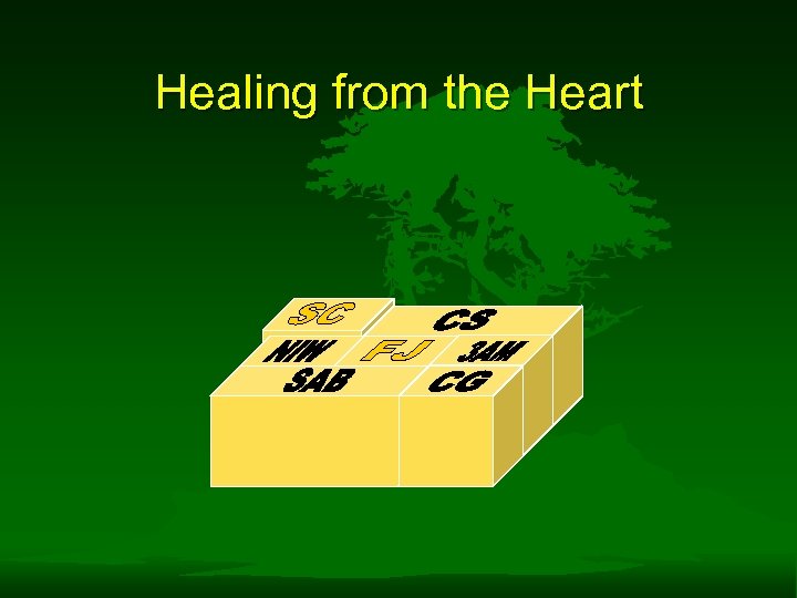 Healing from the Heart 