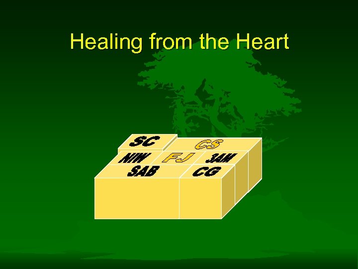 Healing from the Heart 