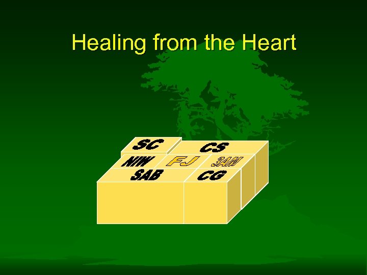 Healing from the Heart 