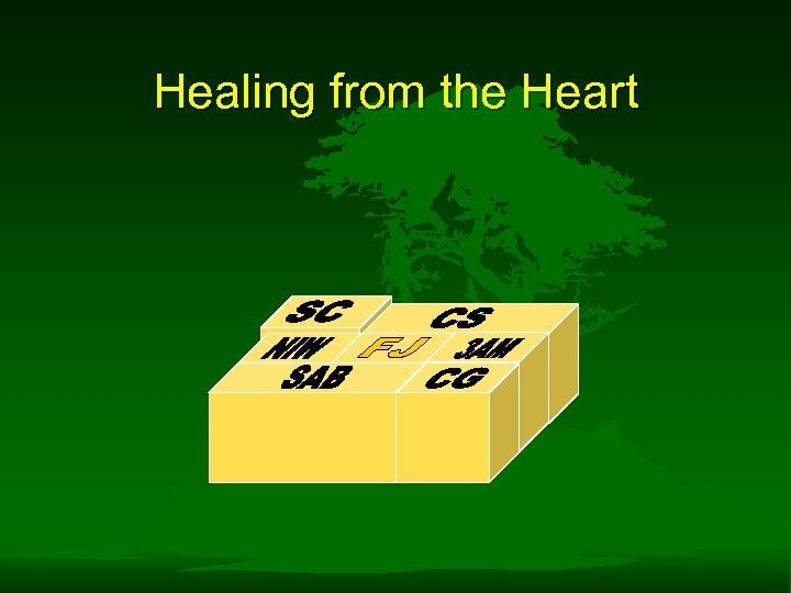 Healing from the Heart 