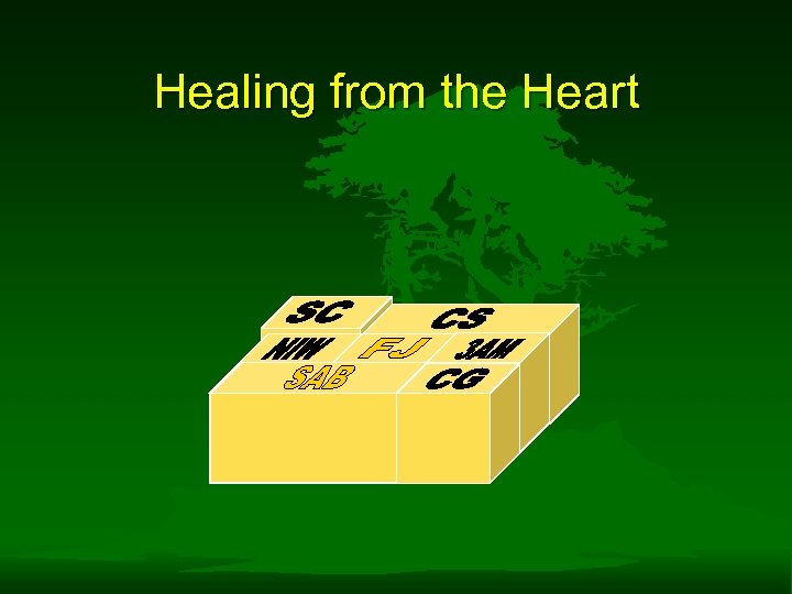 Healing from the Heart 