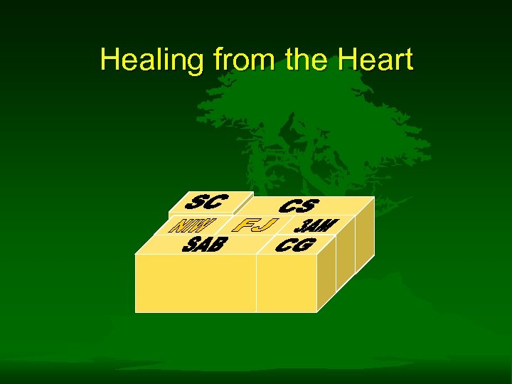 Healing from the Heart 