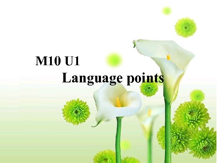 M 10 U 1 Language points 